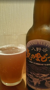Minamishinshu Beer Ki no Sato