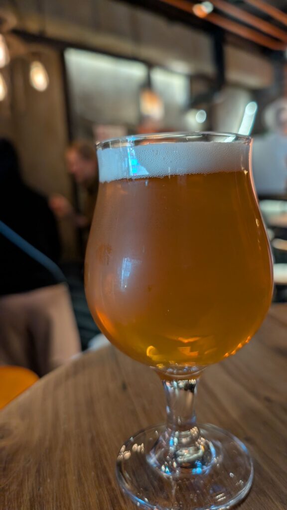 Shinjuku Ale Beer 1