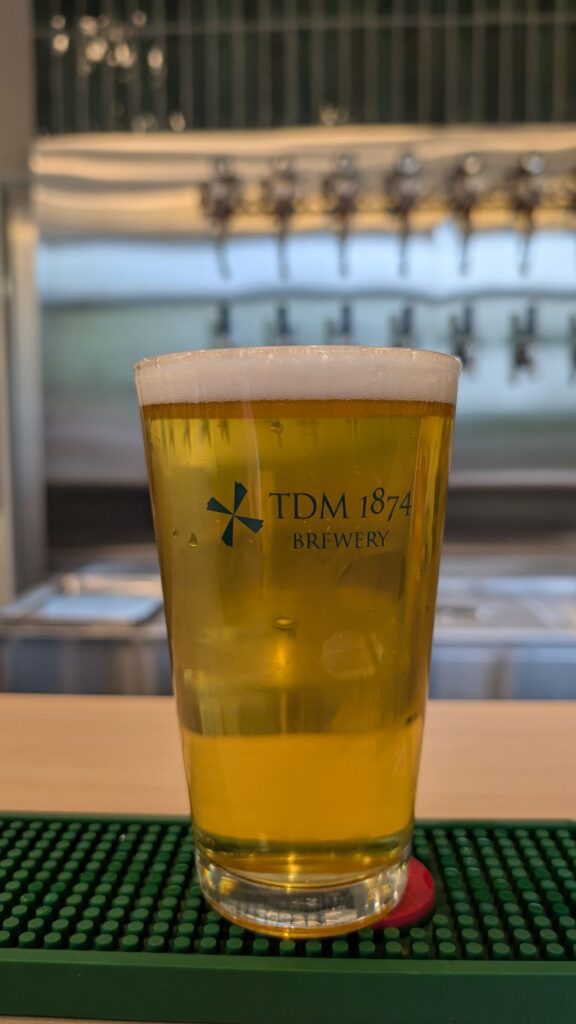 TDM 1874 Hoshiten Qlay Beer 2