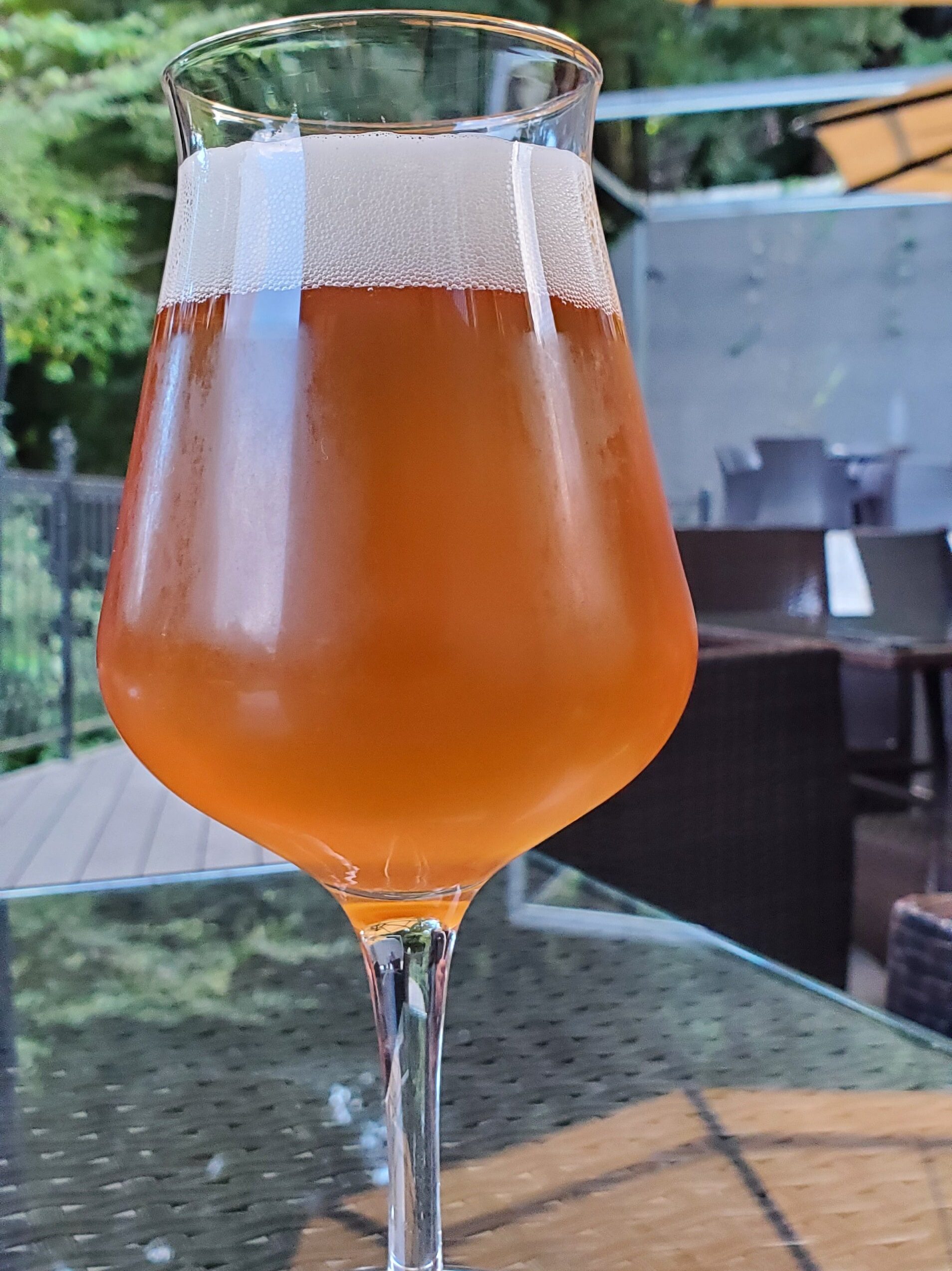 Carvaan Arabian Lime Ale