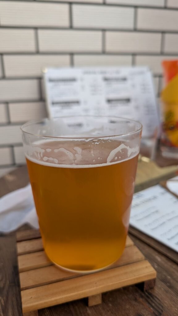Novus Beer 4